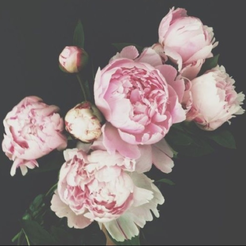 Meet your Posher, Mary